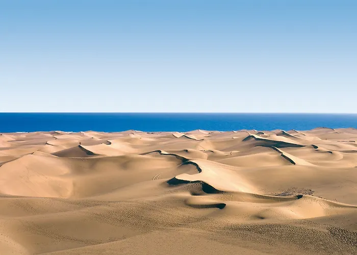 بانغالوز كورديال بياريتز * بلايا ديل إنغلز